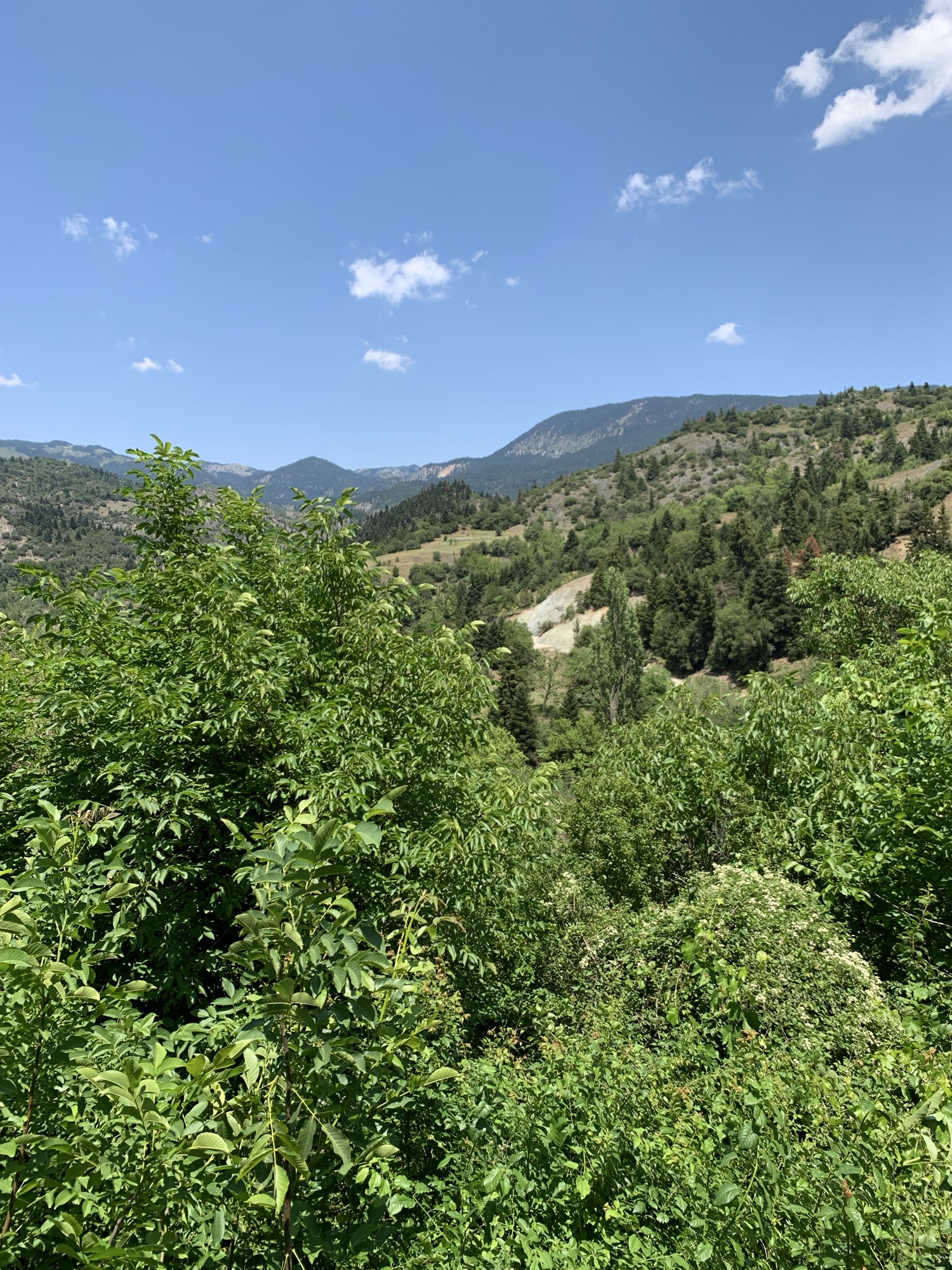 Nature