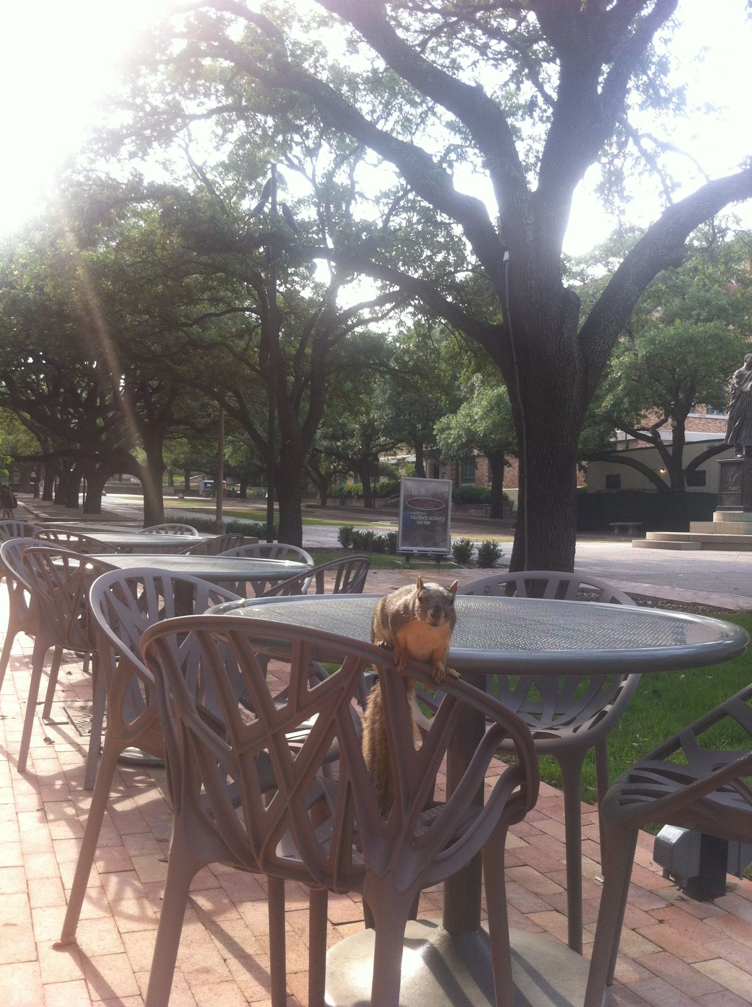 Around Austin