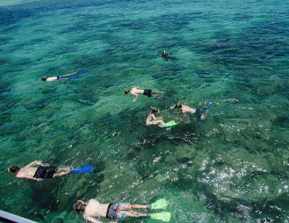 People Snorkling (Sometimes on Horses)