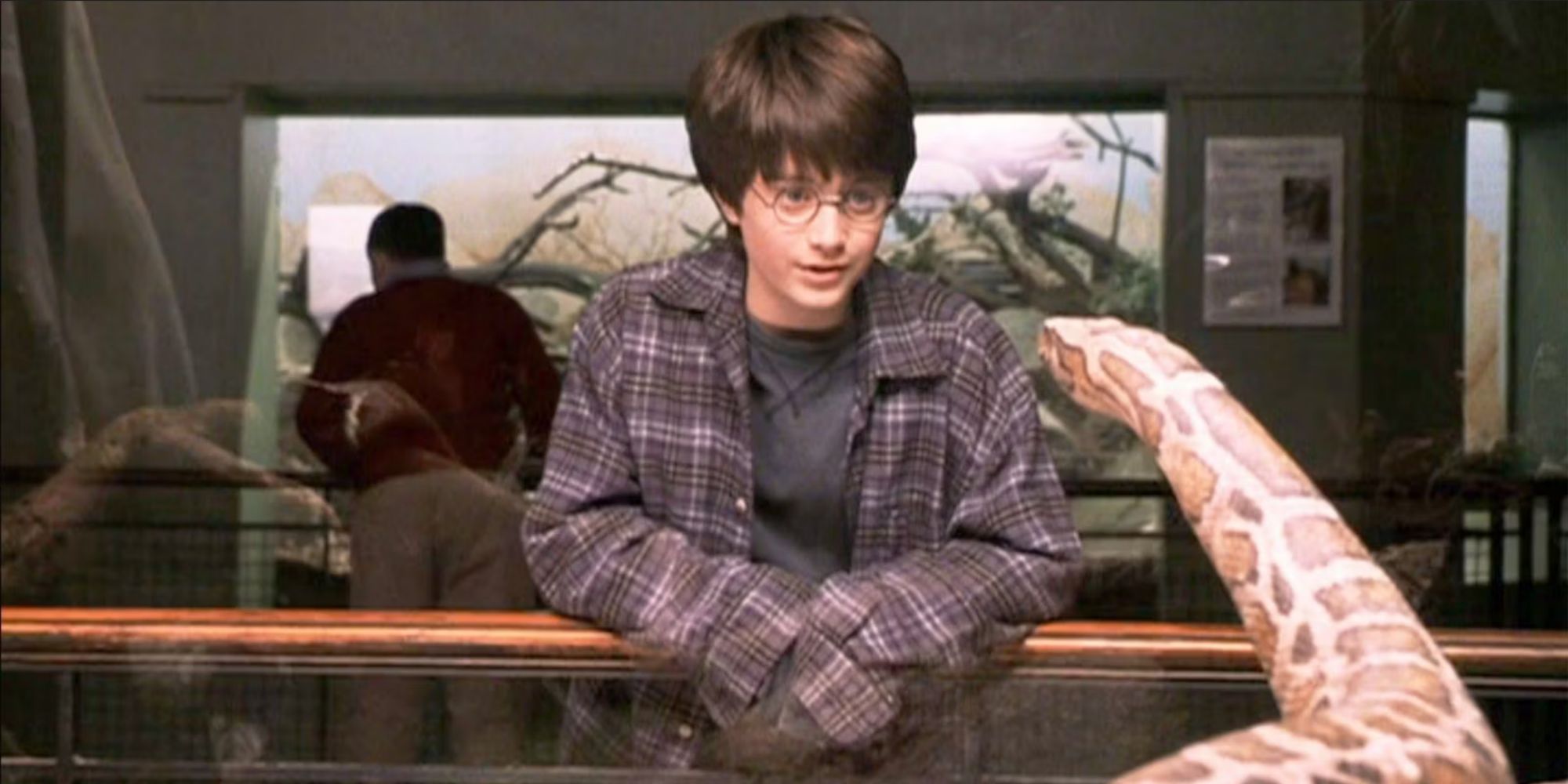 Harry Potter