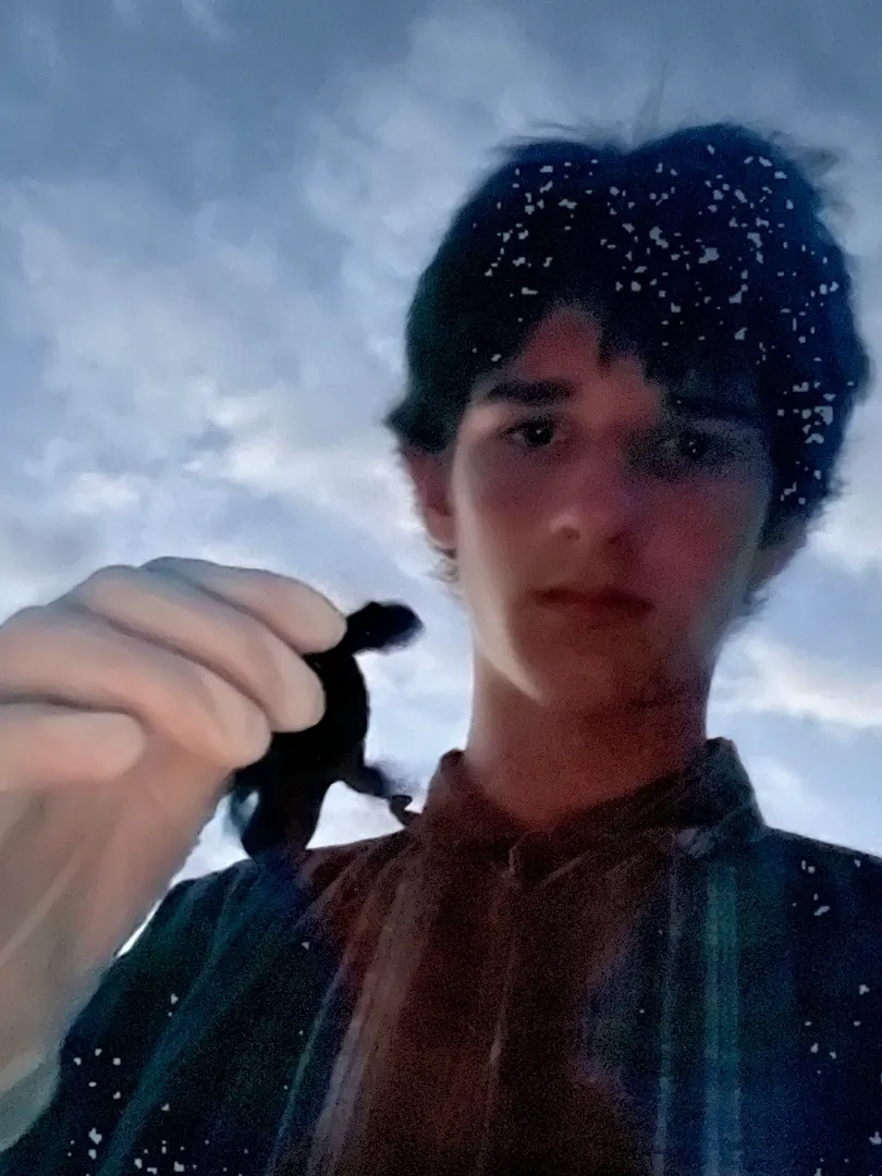 Bro