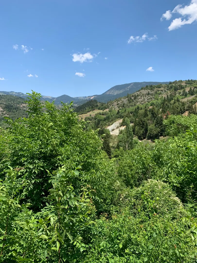 Nature