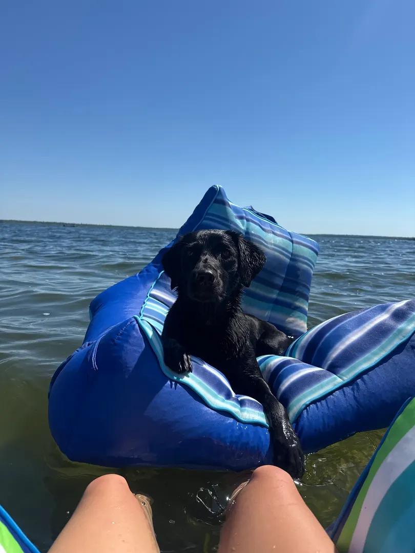 El mundo de Nala