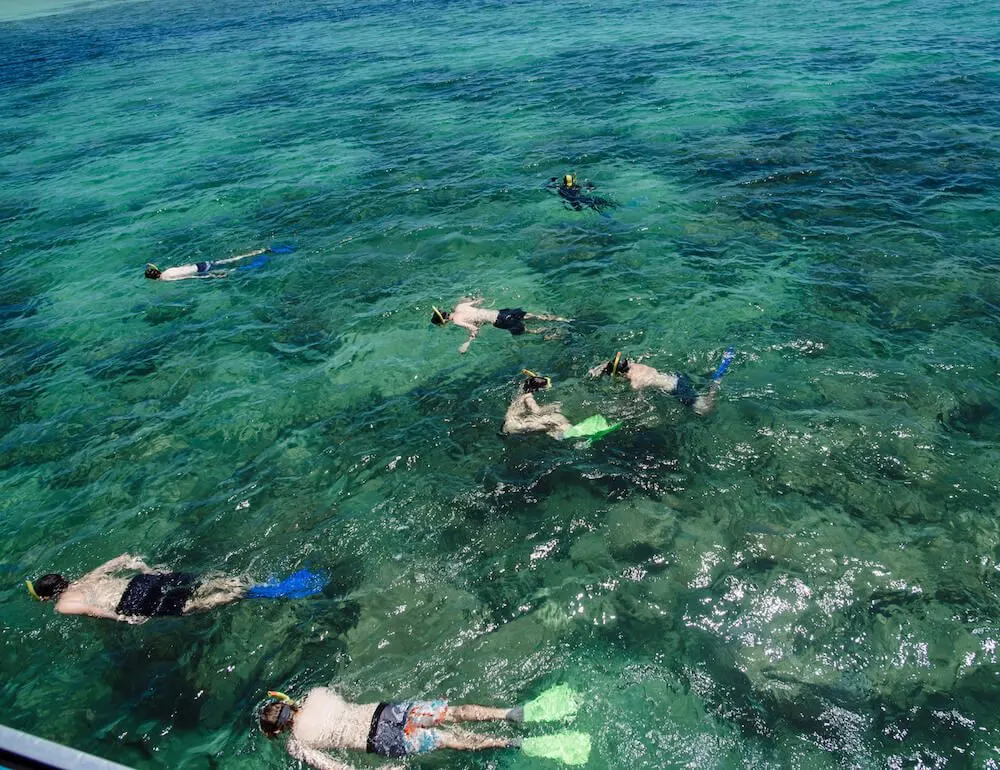 Persone che fanno snorkeling (a volte a cavallo)