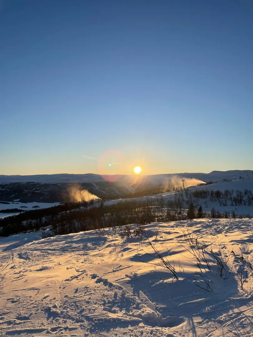 Sun and view