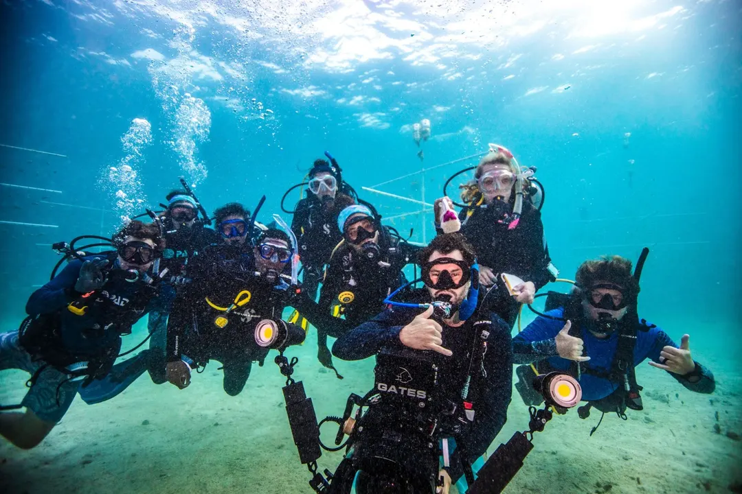 People Scuba Diving