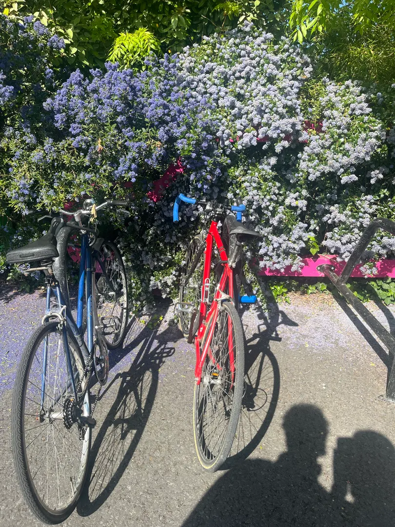 🚲 edition kinda